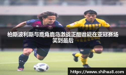 bg视讯app下载