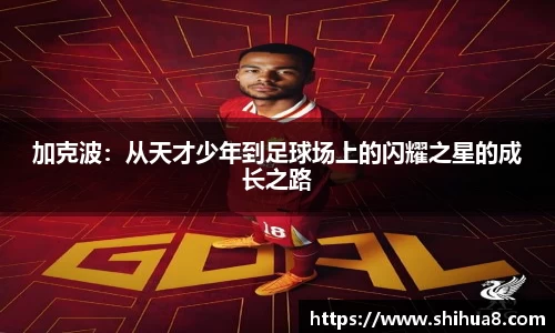 bg视讯app下载