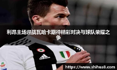 bg视讯app下载